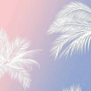 Meet your Posher, Ainslee